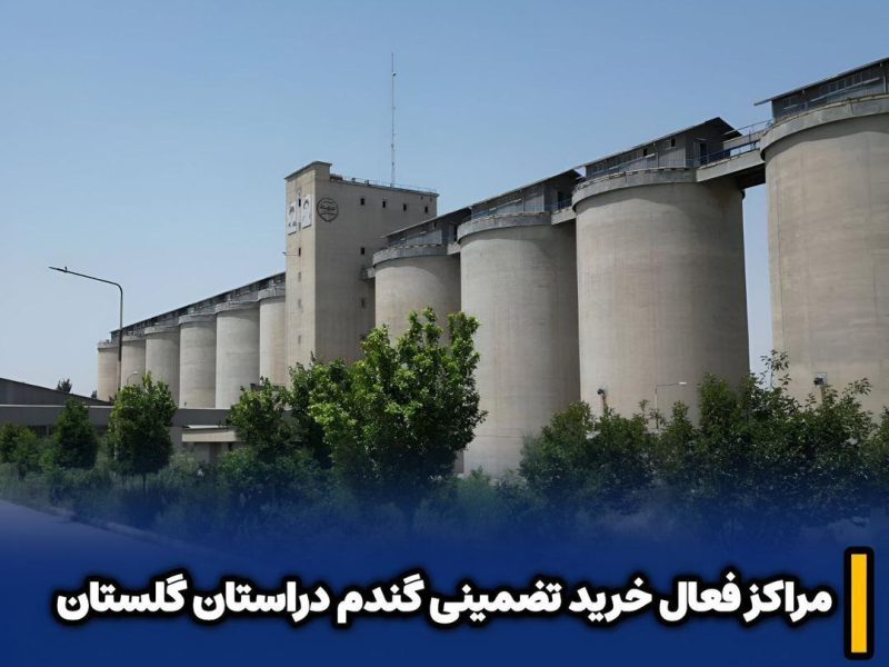 بازگشایی مراکز خرید تضمینی گندم در استان گلستان