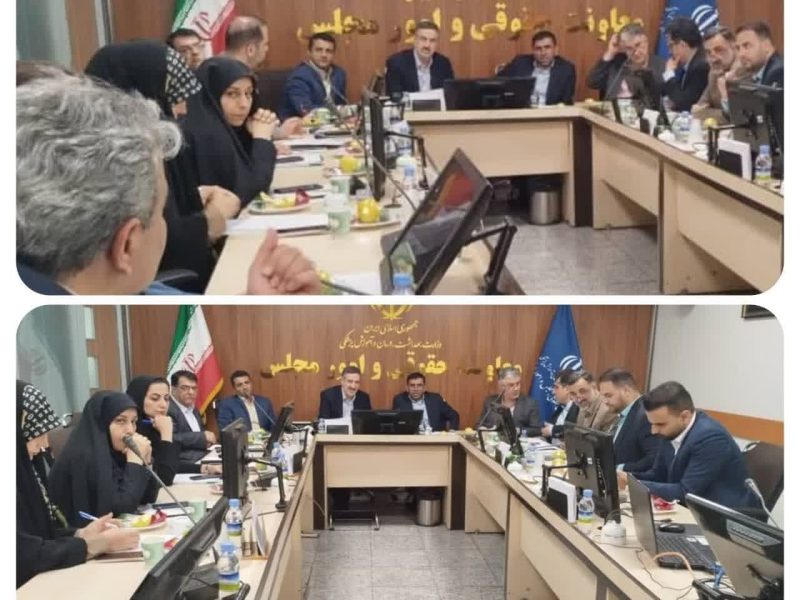 پیگیری مشکلات بهداشت و درمان شرق استان در نشست مشترک با مسئولان وزارت بهداشت