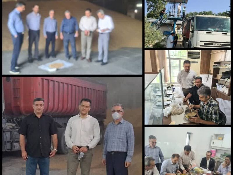 نظارت بر فرآیند خرید بذر گندم و جو شرکت‌های تولید کننده بذر در استان