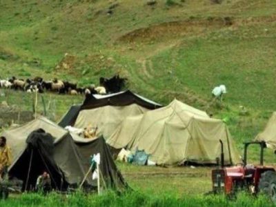 تأمین سوخت پایدار برای عشایر گلستان؛ توزیع بیش از ۳ میلیون لیتر نفت سفید در سال