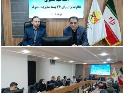 قدردانی نماینده ویژه توانیر از عملکرد شرکت توزیع برق گلستان در حوزه‌های مختلف