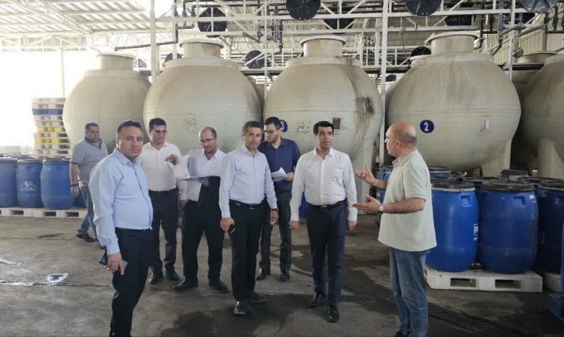 بازدید مدیر عامل شرکت شهرکهای صنعتی گلستان از واحد صنعتی سفید دانه گنبد