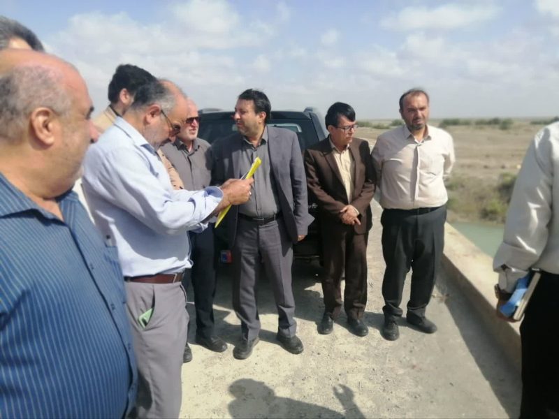 مدیرکل شیلات گلستان:   ۸۰ درصد میگوی گمیشان به کشورهای مختلف صادر می شود