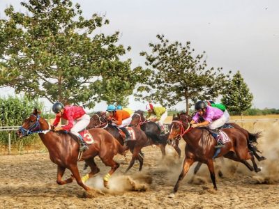 تاخت ۴۸ اسب در روز اول هفته دهم کورس بندرترکمن در ۶ دور