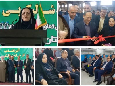 فرماندار کردکوی: ایجاد کارخانه بسته بندی و سورتینگ میوه های تولیدی شهرستان از هدر رفت آن جلوگیری می کند
