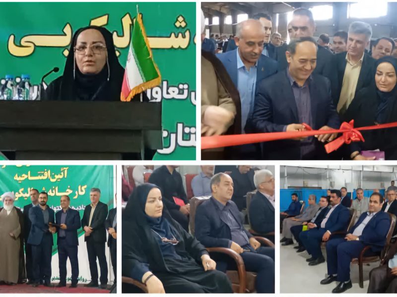 فرماندار کردکوی: ایجاد کارخانه بسته بندی و سورتینگ میوه های تولیدی شهرستان از هدر رفت آن جلوگیری می کند
