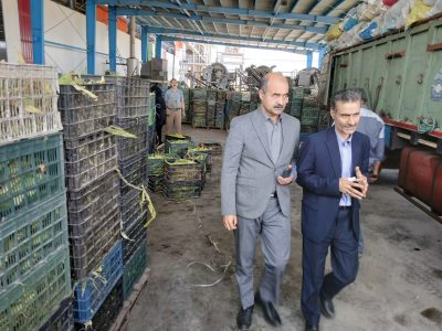 بازدید بازرس کل استان گلستان از شرکت های کشت و صنعت خاوردشت (علی آباد) و کشت و صنعت گرگان شهر (سرخنکلاته)