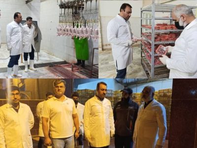 بازدید شبانه مدیر کل دامپزشکی استان از کشتارگاه صنعتی طیور نو مرغ کلاله