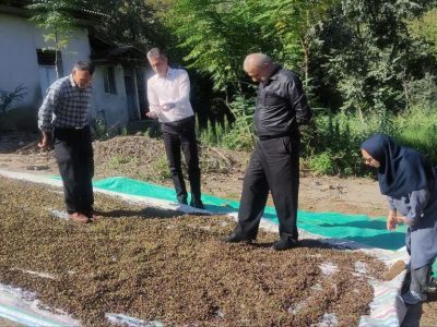 بازدید دوره‌ای از نهالستان‌های دولتی استان گلستان