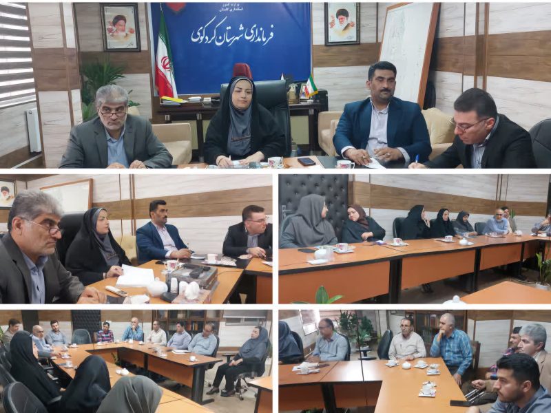 فرماندار در نشست صمیمی با همکاران: تقسیم کار با نگاه سازمانی و هم افزایی عامل موفقیت در نظارت،اجرا و مدیریت است.