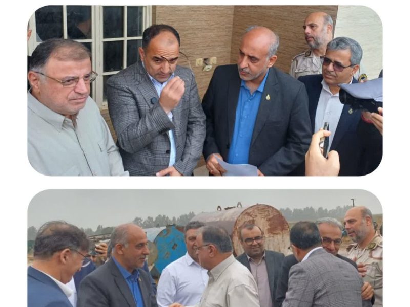 توسعه باغات زیتون و اشتغال پایدار در مناطق مرزی گلستان ادامه دارد