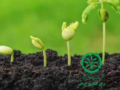 افزایش ۲۶ درصدی مصرف کود در گلستان