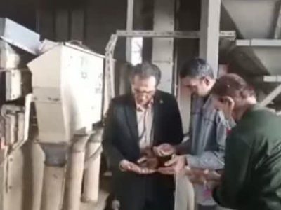 بازید مدیر شرکت خدمات حمایتی کشاورزی استان گلستان از روند بوجاری بذر گندم