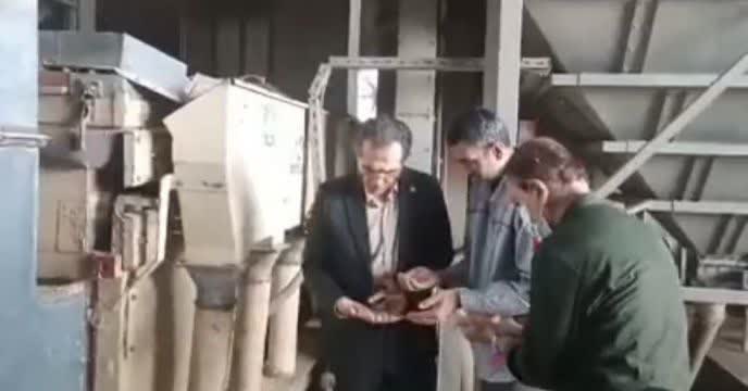 بازید مدیر شرکت خدمات حمایتی کشاورزی استان گلستان از روند بوجاری بذر گندم