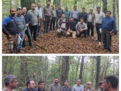 آموزش صحرایی اپلیکیشن تشریح قطعات در جنگل آموزشی و پژوهشی دکتر بهرام‌نیا شصت‌کلاته گرگان