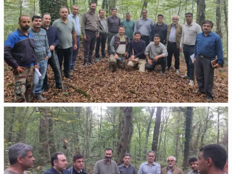 آموزش صحرایی اپلیکیشن تشریح قطعات در جنگل آموزشی و پژوهشی دکتر بهرام‌نیا شصت‌کلاته گرگان