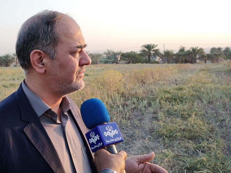 مدیرعامل سازمان مرکزی تعاون روستایی ایران خبر داد: خرید حمایتی پیاز با ۷ مرکز فعال و پرداخت ۷۳ درصد مطالبات کشاورزان