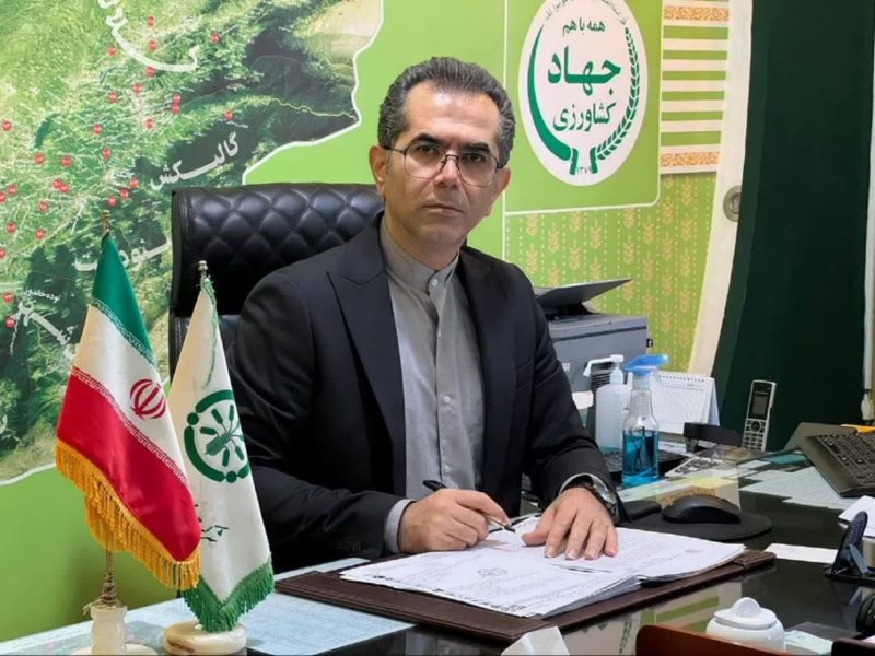 در کشت آبی کلزا  توزیع بیشتری از کود نسبت به  شرایط دیم توصیه می شود