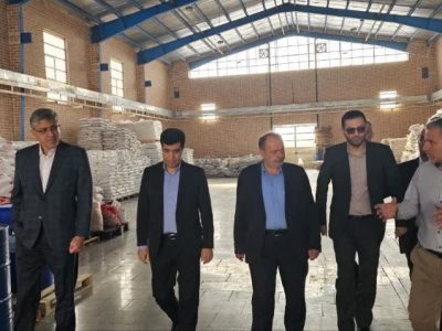 بازدید معاون فنی سازمان صنایع کوچک ایران از واحدهای صنعتی و پروژههای زیربنایی شهرکهای صنعتی استان گلستان