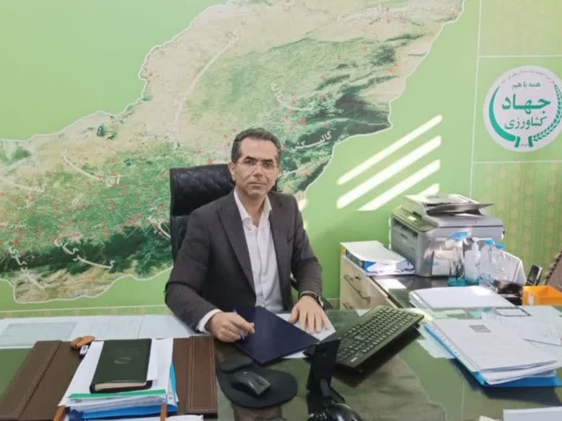 پراکنش بارندگی مناسب ، کشاورزان بدون هیچ گونه تعلل، نسبت به مصرف کود سرک اوره  اقدام نمایند