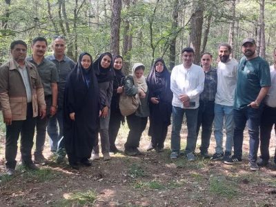 جنگلداری نوین گامی در جهت مدیریت پایدار