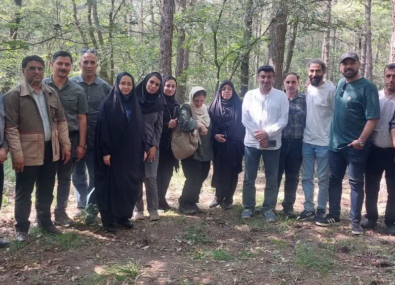 جنگلداری نوین گامی در جهت مدیریت پایدار