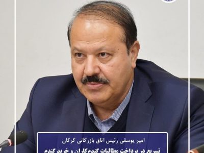 تسریع در پرداخت مطالبات گندم‌کاران و خرید گندم بر مبنای کیفیت ضروری است