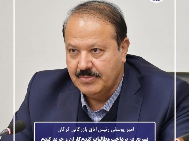 تسریع در پرداخت مطالبات گندم‌کاران و خرید گندم بر مبنای کیفیت ضروری است