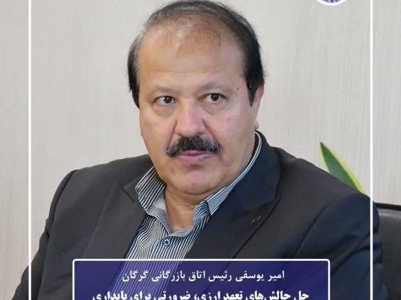 امیر یوسفی :حل چالش‌های تعهد ارزی، ضرورتی برای پایداری تولید و رونق صادرات