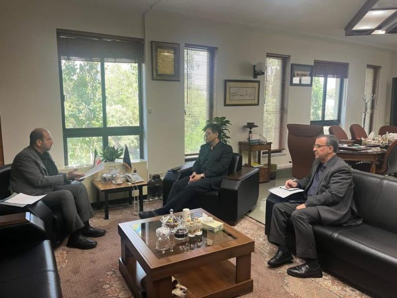پیگیری دکتر نوروزی در توانیر: از کاهش صف انتظار واگذاری انشعاب تا رفع حریم برق