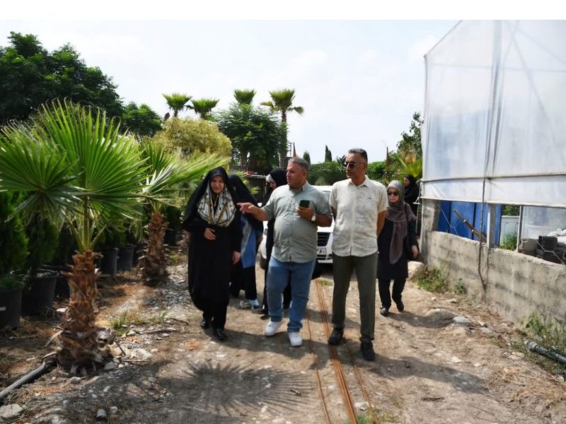 بازدید مشاور رئیس جمهور از ظرفیت صادراتی گلخانه روستای کریم آباد