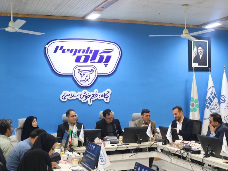پگاه گلستان میزبان نشست خبری هفته تعاون؛ تشریح برنامه‌های حوزه تعاون، کار و رفاه اجتماعی