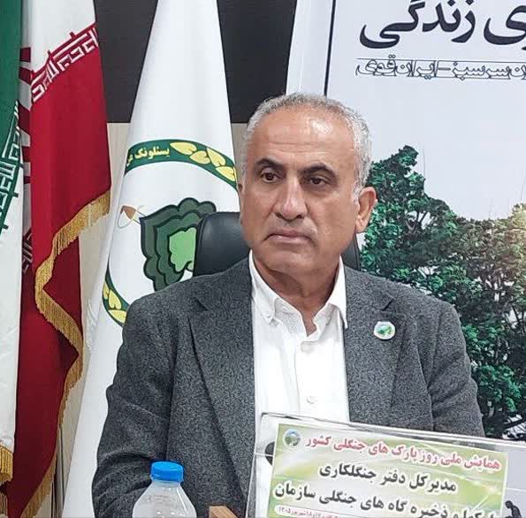 ارک‌های جنگلی کشور به مراکز آموزش و فرهنگ‌سازی محیط‌زیستی تبدیل می‌شوند