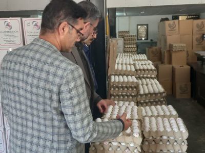 تشدید نظارت بر بازار کالاهای اساسی و مراکز عرضه تخم‌مرغ در گلستان