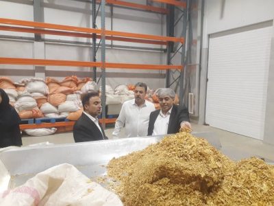 بازدید سرپرست اداره کل صمت گلستان از واحدهای تولیدی و بررسی مسائل و مشکلات آنها