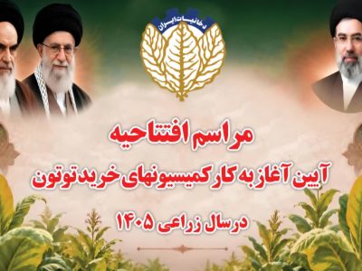 افزایش ۴۲ درصدی خرید توتون در گلستان؛ کمیسیون‌های خرید سال زراعی ۱۴۰۵ آغاز به کار کردند