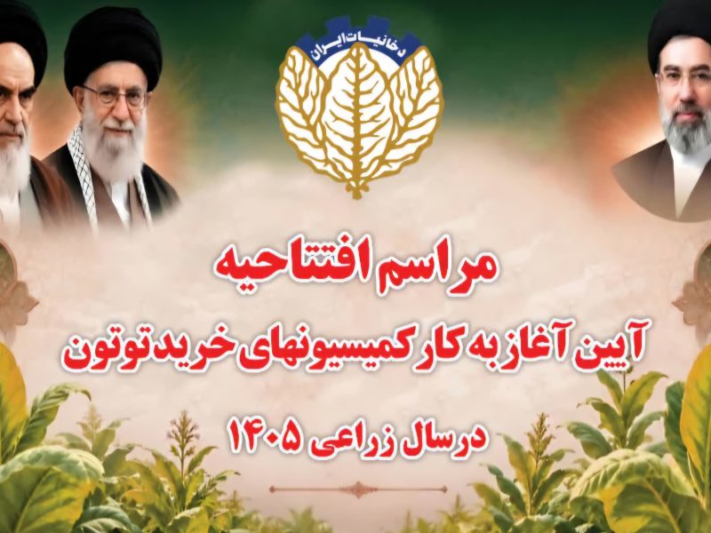 افزایش ۴۲ درصدی خرید توتون در گلستان؛ کمیسیون‌های خرید سال زراعی ۱۴۰۵ آغاز به کار کردند
