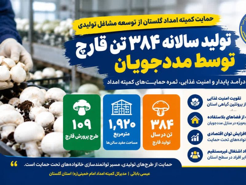 تولید سالانه ۳۸۴ تن قارچ در گلستان با اجرای طرح‌های اشتغال مددجویان